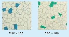 ESD Tiles
