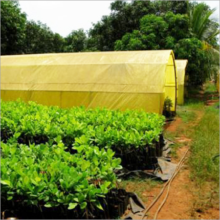 Nursery & Poly Houses