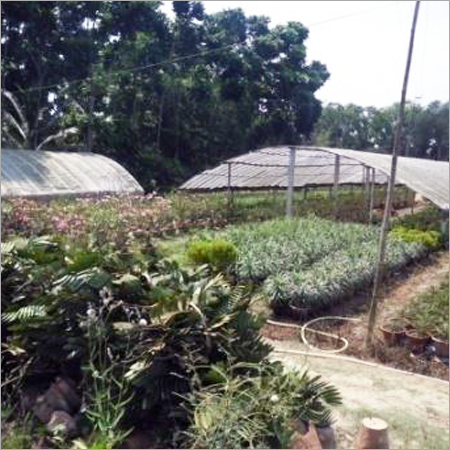 Nursery & Poly Houses