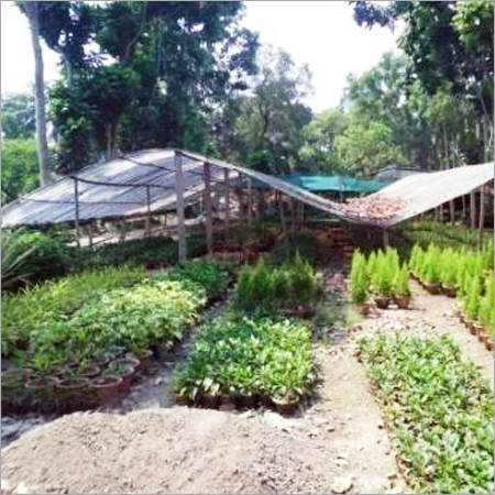Nursery & Poly Houses