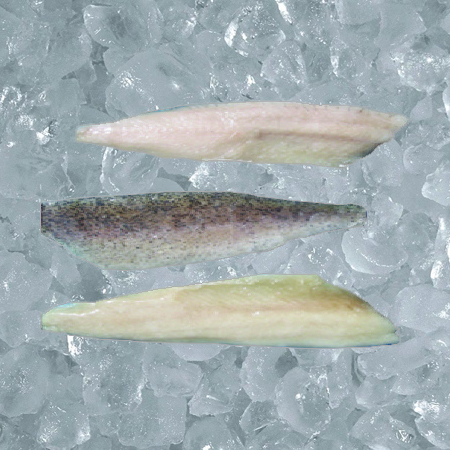 Reef Cod Filet