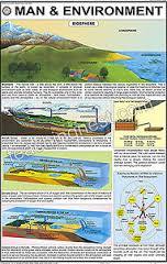 Man And Environment Charts