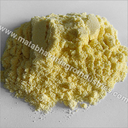 Wheat Cattle Feed