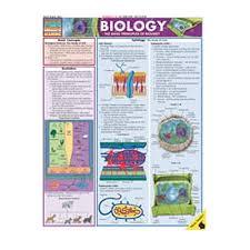 Biology Chart