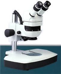 Stereo Dissecting Microscope