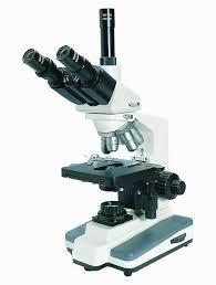 Research Binocular Microscope