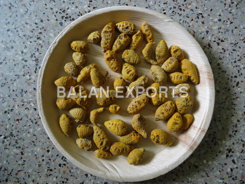 Round Turmeric Root