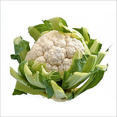 Fresh Vegetables