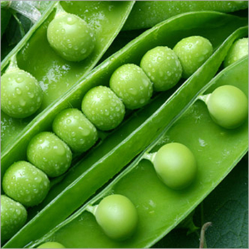 Green Peas
