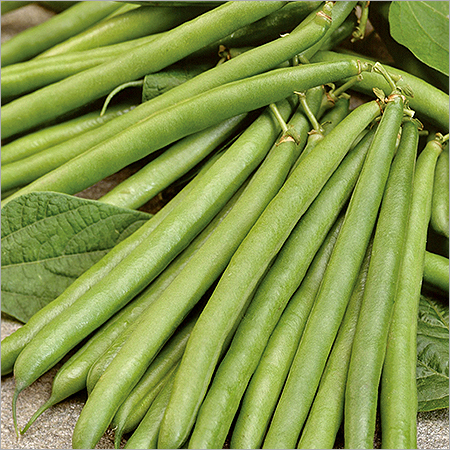 French Beans