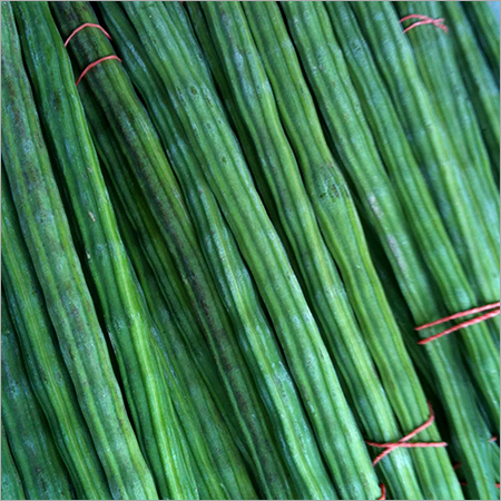 Drum Stick - Wood, 16 Inches, 1 Inch Diameter, Green | Strong, Durable, Lightweight, Versatile, Smooth Surface, Round Tip