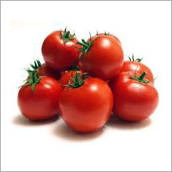 Desi Tomato 
