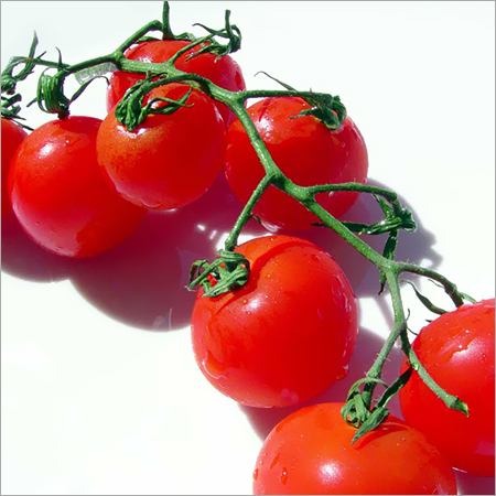 Cherry Tomatoes