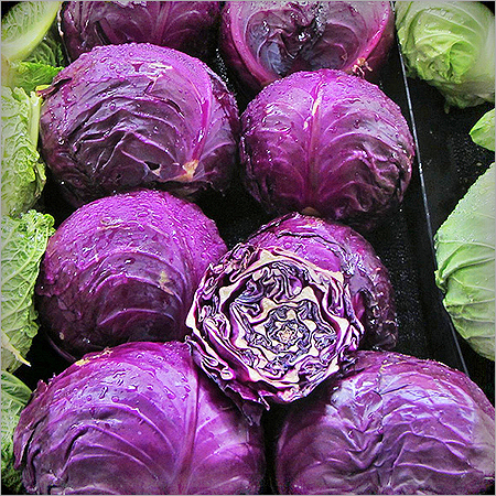 Purple Cabbage