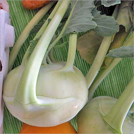 Fresh Vegetables