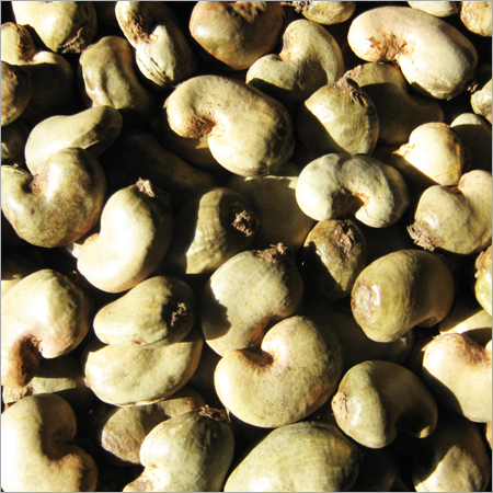 Cashews