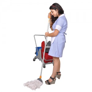 Wet Mops