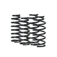 Ms Coil Spring - Color: Silver
