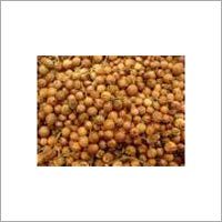 Coriander Seeds