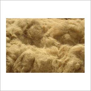 Coir Fiber