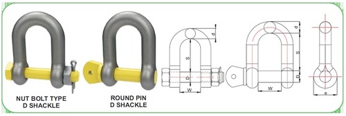 Alloy Steel D-Shackle Screw Pin & Nut Bolt Type