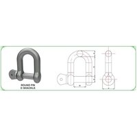 Mild Steel D-Shackle