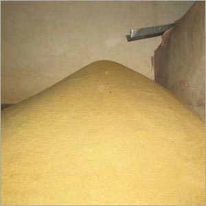 IR64 Rice