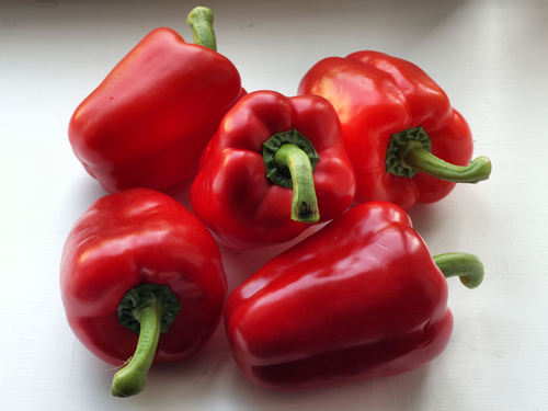 Capsicum
