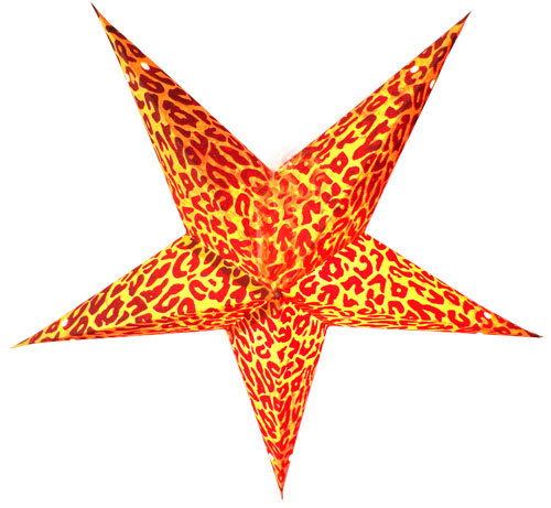 Handmade Paper Star