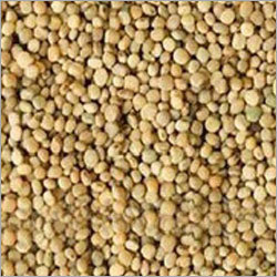 Guar Seeds