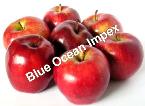 Fresh Red Apple