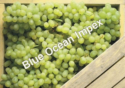 Grapes