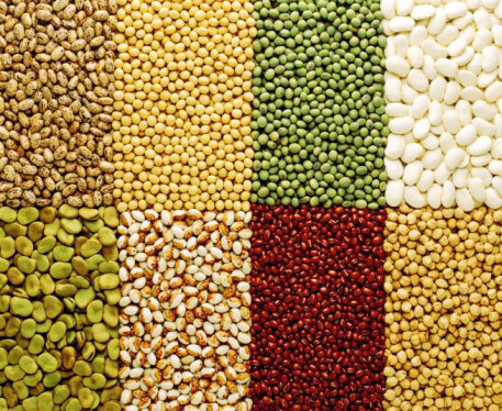 Fresh Pulses