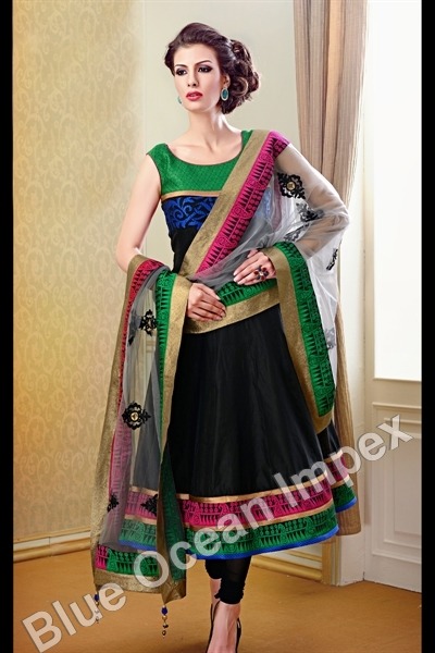 Elegant Punjabi Dress