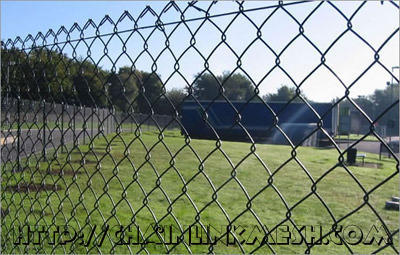 Galvanized Iron Chain Link Fencing