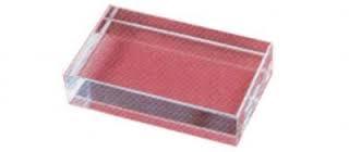Glass Slab