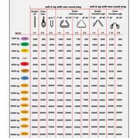 Duplex Webbing Slings - Application: Industrial