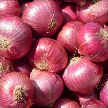 Red Onion