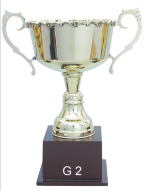 Designer Cup Trophies