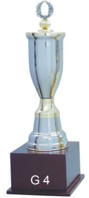 Fancy Trophies