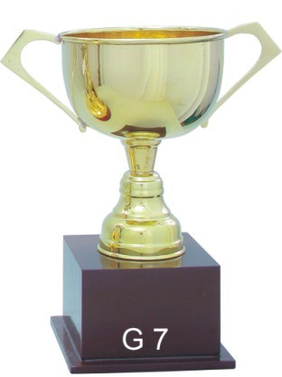 Brass Trophy Cups