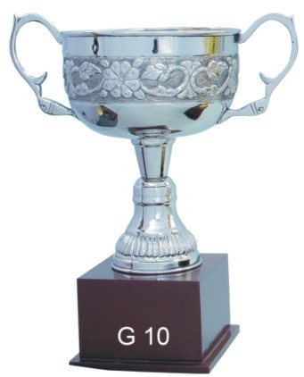 Brass Sports Trophy