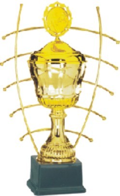 Designer Trophies