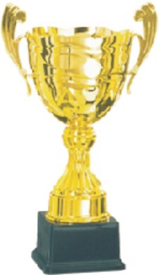 Designer Trophies