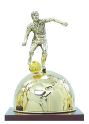 Sports Figure Award