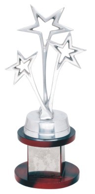 Designer Trophies - Aluminum & Wood, 250 mm Height, Silver | Elegant Design, Award Recognition, Perfect Gift