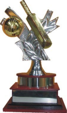 Designer Trophies
