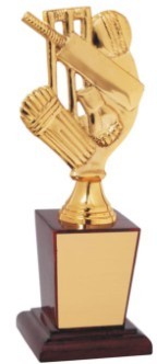 Designer Trophies - Metal & Wood, 250mm, Gold Finish | Cricket Awards, Engravable Plaque, Player Recognition