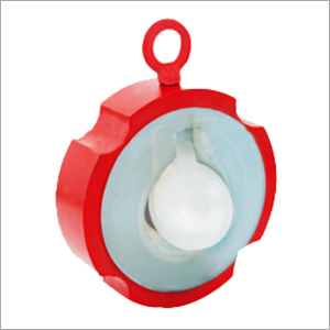 Swing Check Valve