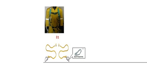 Full Body Harness as per IS 3521 Model